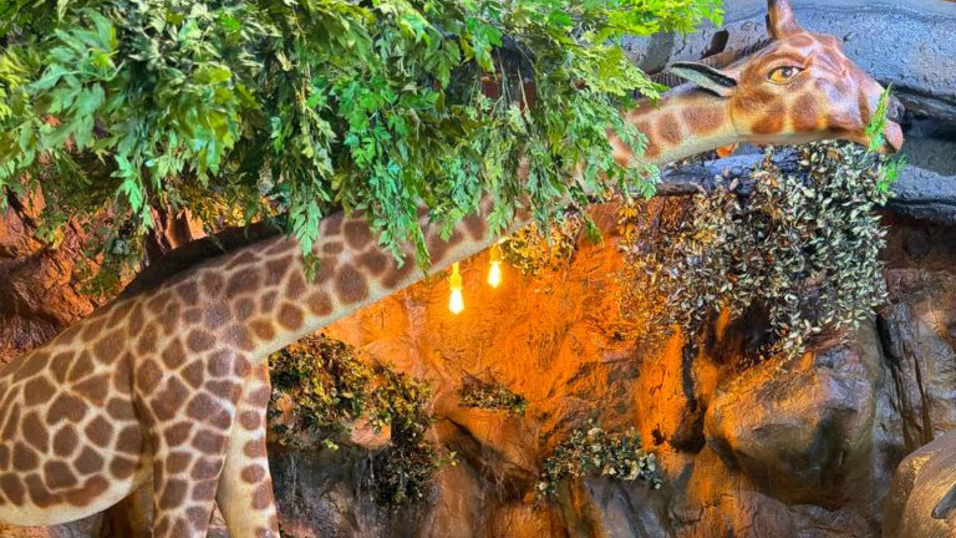 SHIVJAY MINIHALL WEB CONTENT (9)